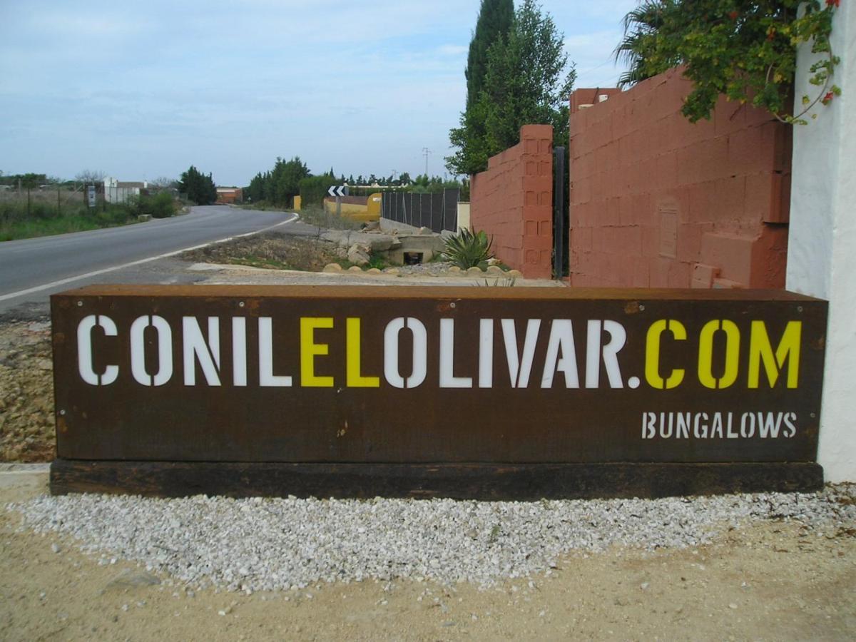El Olivar De Roche Viejo Hébergement de vacances *