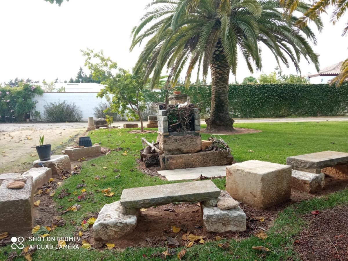 Hébergement de vacances El Olivar De Roche Viejo Conil De La Frontera