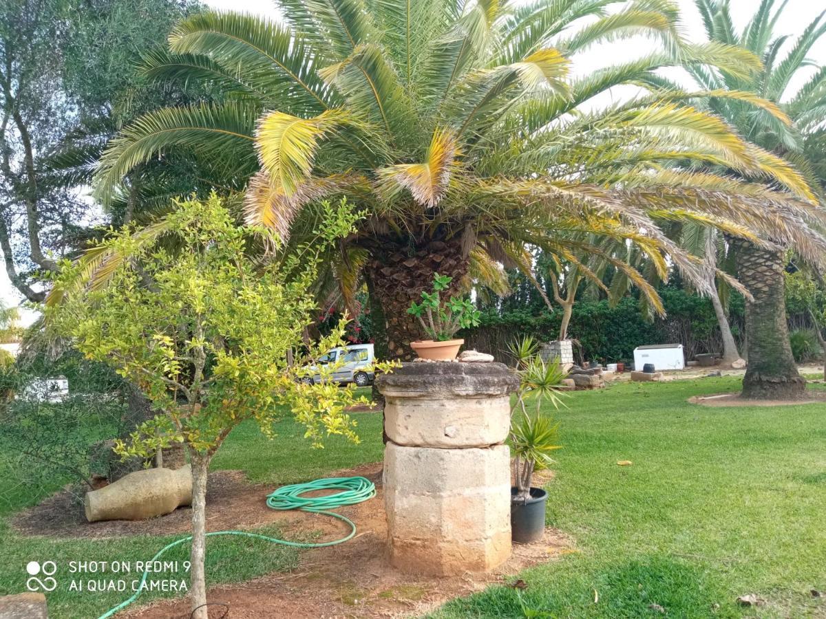 Hébergement de vacances El Olivar De Roche Viejo Conil De La Frontera