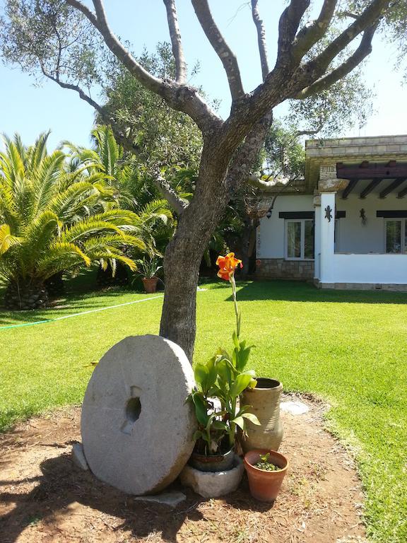 El Olivar De Roche Viejo *
