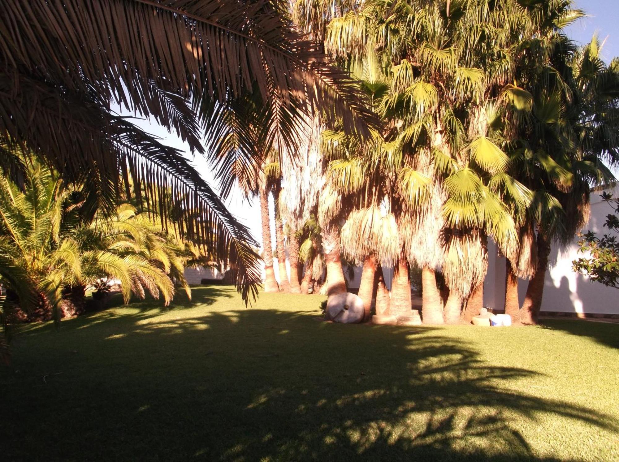 El Olivar De Roche Viejo
