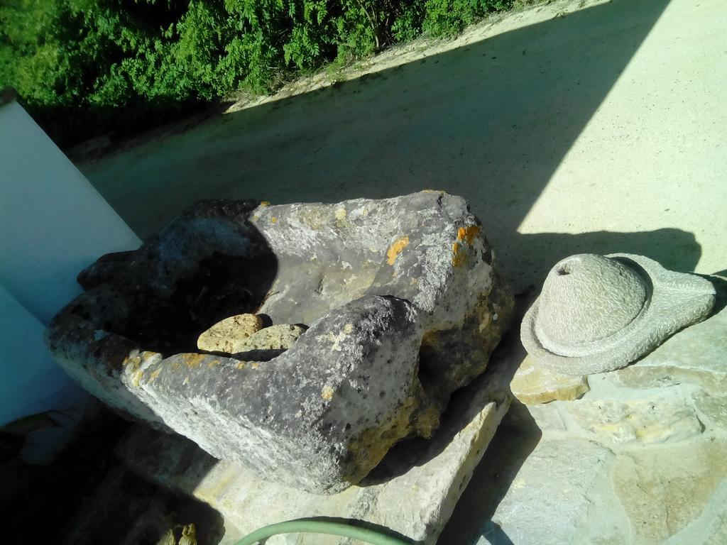 El Olivar De Roche Viejo Conil De La Frontera
