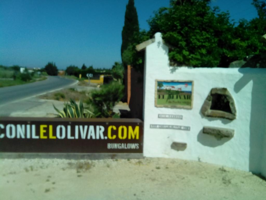 El Olivar De Roche Viejo * Conil De La Frontera