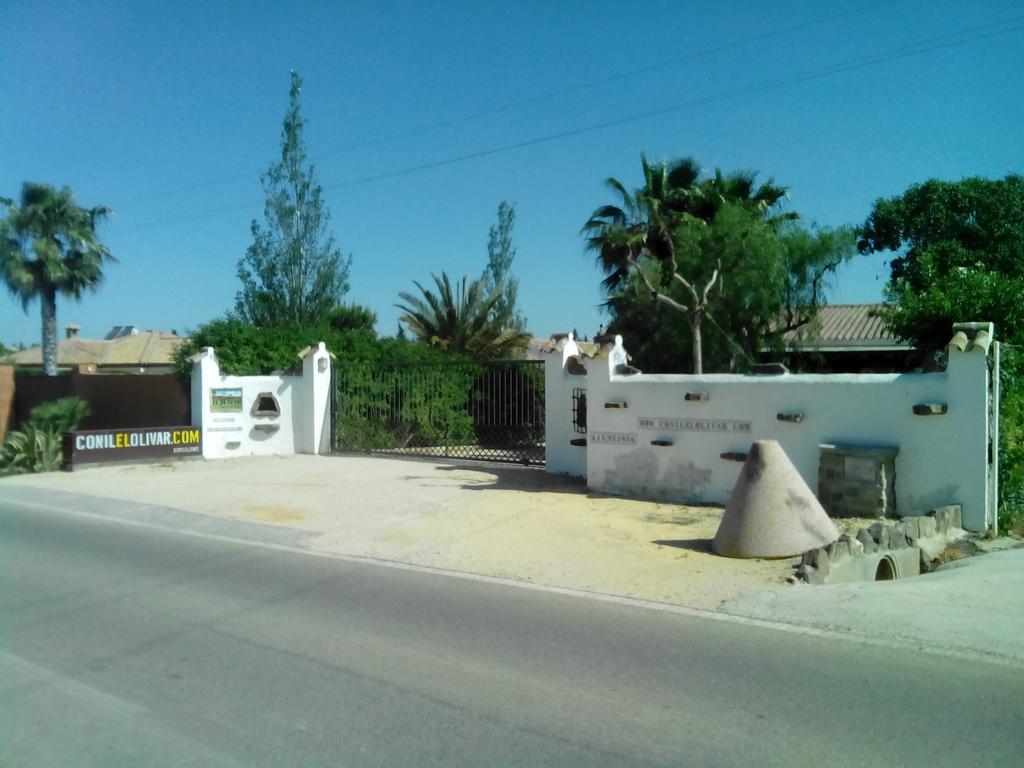El Olivar De Roche Viejo Hébergement de vacances Conil De La Frontera
