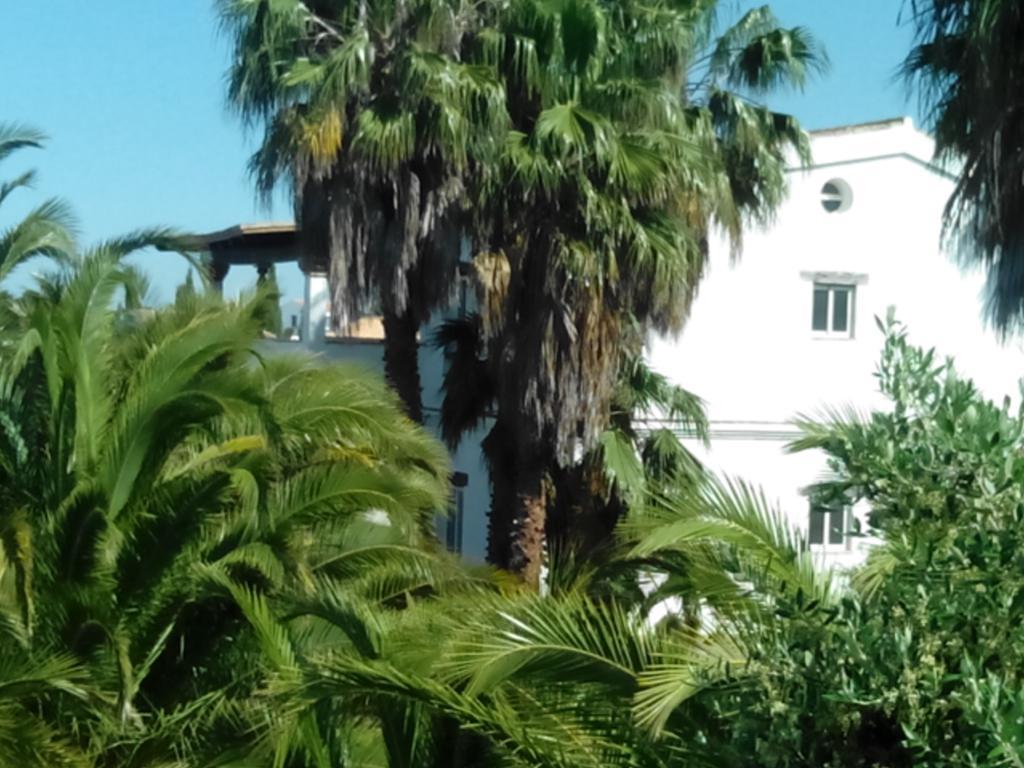 Hébergement de vacances El Olivar De Roche Viejo Conil De La Frontera