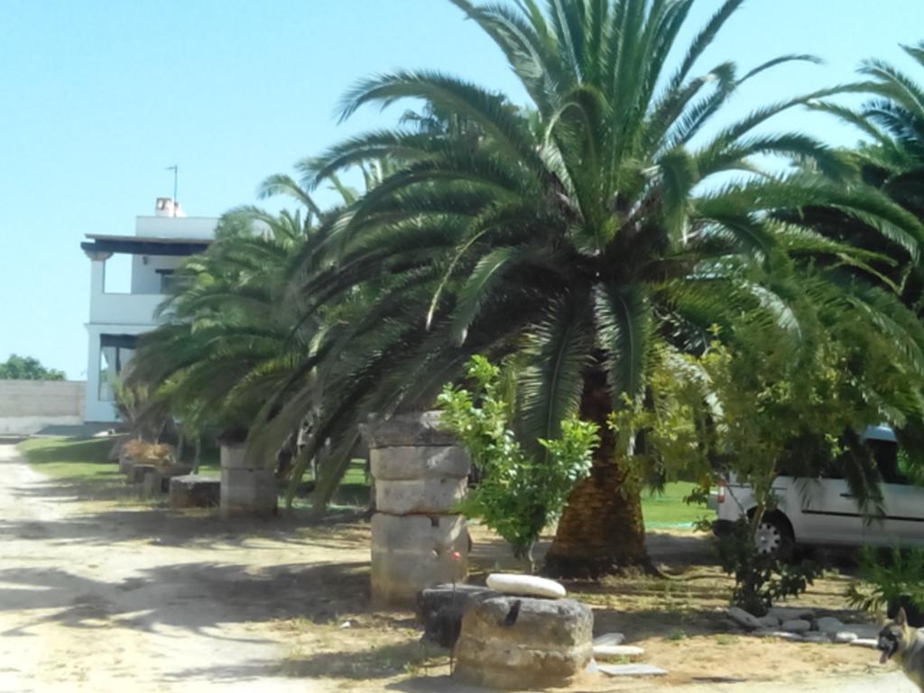 Hébergement de vacances El Olivar De Roche Viejo *