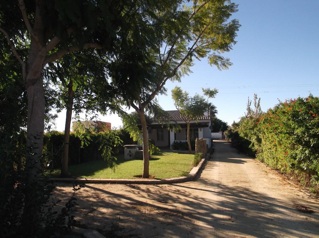 El Olivar De Roche Viejo Conil De La Frontera
