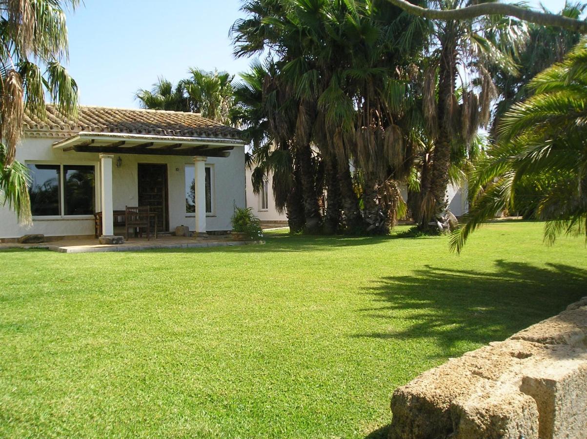 El Olivar De Roche Viejo *